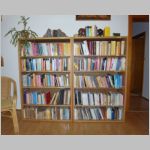 AyyaKhemasRoom_Bookcase.jpg